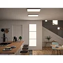 Paulmann LED Aufbau-Panel VELORA, 60cm, 230V, 33W 3000K 2660lm, nicht dimmbar, Weiß matt