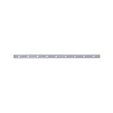 Paulmann LED Strip MaxLED 250 RGBW, IP44 „Protecting Cover“, 24V DC, Silber, 100cm, 7W RGB+3000K 230lm