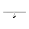 Paulmann ProRail3 LED 3-Phasen-Schienenspot ALDAN, 230V, Halbkugel-Linse, dimmbar, 9W 3000K 400lm, Weiß / Schwarz