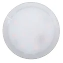 Paulmann LED Retrofit-Modul COIN NOVA PLUS DIM, Ø 5.1cm, 230V, 6W 4000K 530lm 100°, dimmbar, Satin