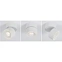 Paulmann LED Aufbau-Objektleuchte SPIRCLE, 230/40V, 8W 3000K 36°, drehbar, neigbar, Weiß matt / Alu