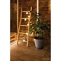 Paulmann light chain MOBILE LAMPION with accumulator, with USB charging function IP44, white