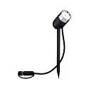 Paulmann PLUG & SHINE ZigBee LED Spot PIKE, IP44, 24V, 4.5W RGB/W 330lm 40°, dimmbar, Anthrazit