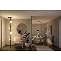 Paulmann LED system luminaire ULine PENDEL BOL Ø 30CM rigid, half round IP20, black matt dimmable