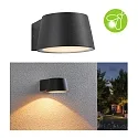 Paulmann LED Außenwandleuchte CAPEA, IP44, 6W 2200K 550lm 98°, schaltbar, Alumnium, anthrazit / klar