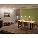 Paulmann 1-Phasen LED Pendelleuchte URAIL ARIDO II, 230V, inkl. GU10 5W 2700K 560lm, Chrom matt/Klar/Satin