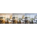 Paulmann 1-Phasen Schienenspot URAIL CONE inkl. Zigbee Tunable White Lampe, 230V, GU10 5W 2700-6500K 330lm 36°, Chrom matt / Chrom