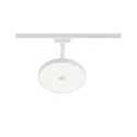 Paulmann 1-phase spot HILDOR URail IP20, mat, white dimmable