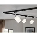 Paulmann spot URAIL BLOSSOM G9, satin, black matt dimmable