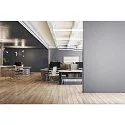 Philips LED Röhrenlampe MASTER LEDtube T8 HO, 60cm, G13, KVG/VVG/220-240V, 60cm, G13, 7.6W 6500K 1150lm 160°, schaltbar