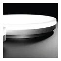 Performance in Lighting wall and ceiling luminaire WL 220 OPAL ROUND static IP20, aluminium, lacquered dimmable
