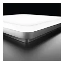 Performance in Lighting wall and ceiling luminaire WL 260 OPAL SQUARE static IP20, silver, lacquered dimmable