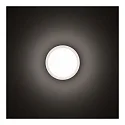LED Wand- und Deckenleuchte DROP 22 LED, 11W, 4000K, 816lm, IP55, IK06, statisch, schwarz / Glas opal