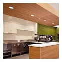 Performance in Lighting downlight DLSB150 LED OPAL COVER - 95MM static IP20, powder coated, white 