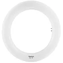 LED Tube lamp Essence RL-T9 C22 EM, ring shape Ø 20.5cm, G10q, 12W 4000K 1200lm 120°, matt