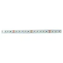 Outdoor LED Strip VARDAflex 4inONE-72, IP65, 72 LED/m, 24V DC, 14.4W/m RGB+3000K (RGBW) 890lm 120° , CRI80, 500cm / 1.4cm