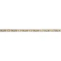 LED Strip VARDAFLEX PLUS PROFI / 2400K CRI98 - 5M