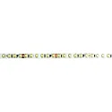LED Strip VARDAFLEX PLUS PROFI / FLUORESCENT GREEN - 5M