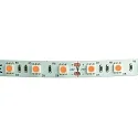 LED Strip VARDAFLEX PLUS PROFI PINK - 5M