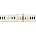 LED Strip RGB/TW, 17W/m, RGB/2300+6500K, 5m, 60 LED/m, IP20, 24V, 1001lm, Ra80