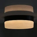 Steinhauer Outdoor LED Deckenleuchte IKARO, IP44, zylindrisch, Ø 18cm, 12W 2950K 960lm, dimmbar, Mattglas, schwarz matt