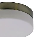 Steinhauer Outdoor LED Deckenleuchte IKARO, IP44, zylindrisch, Ø 24cm, 18W 290K 1440lm, dimmbar, Mattglas, stahl gebürstet