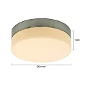 Steinhauer Outdoor LED Deckenleuchte IKARO, IP44, zylindrisch, Ø 24cm, 18W 290K 1440lm, dimmbar, Mattglas, stahl gebürstet