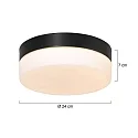 Outdoor LED Deckenleuchte IKARO, IP44, zylindrisch, Ø 24cm, 18W 290K 1440lm, dimmbar, Mattglas, stahl gebürstet