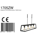 Mexlite Pendelleuchte BUCKLEY, 4-flammig, 100cm, 4x E27, Höhe verstellbar, Schwarz matt
