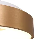 ceiling luminaire RINGLEDE - Ø 38CM round, medium, direct / indirect IP20, gold dimmable