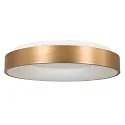Steinhauer LED Deckenleuchte RINGLEDE, Ø 48cm, 40W 2700K 3600lm, direkt / indirekt, dimmbar, gold matt