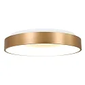 Steinhauer LED Deckenleuchte RINGLEDE, Ø 48cm, 40W 2700K 3600lm, direkt / indirekt, dimmbar, gold matt