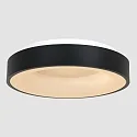 ceiling luminaire RINGLEDE - Ø 48CM large, round, direct / indirect IP20, black matt dimmable