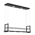 Steinhauer pendant luminaire TØR 6 flames, with shelf IP20, black matt dimmable