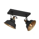 Mexlite wall and ceiling luminaire NOVÉ 2 flames, adjustable E14 IP20, black matt dimmable