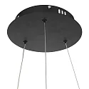 Steinhauer pendant luminaire RINGLUX LED IP20, black dimmable