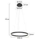 Steinhauer pendant luminaire RINGLUX LED IP20, black dimmable