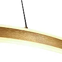 Steinhauer pendant luminaire RINGLUX up / down IP20, gold dimmable
