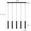 Steinhauer Pendelleuchte 5-fl. 
