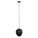 pendant luminaire HALOSWAP E27 IP20, dimmable
