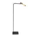 floor lamp ALISIO 1 flame IP20, brass dimmable