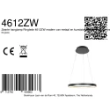 Steinhauer Pendelleuchte 1-fl. 