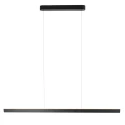 Steinhauer Pendelleuchte 2-fl. 
