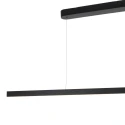 Steinhauer Pendelleuchte 2-fl. 