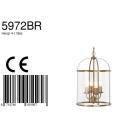 Steinhauer Pendelleuchte PIMPERNEL, 4-flammig, 4x E27, bronze gebürstet / Glas klar