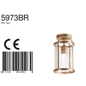 Steinhauer Deckenleuchte PIMPERNEL, Ø 16cm, E27, bronze gebürstet / Glas klar