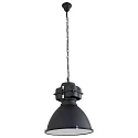 Mexlite Pendant luminaire DENSI, 1 flame, black