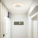 LED Wand- und Deckenleuchte LIDO, IP20, Ø 36cm, indirekt, mit Loch-Diffusor, 18W 2700K 1500lm, dimmbar, schwarz matt