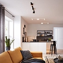 Wever & Ducré ceiling luminaire PIRRO OPAL CEILING SURF 2.0 IP20, gold, black matt dimmable