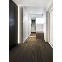 LED Recessed spot STRANGE PETIT ADJ 2.0, 18V / 350mA, 2x 6W 2700K, CRi >95, black